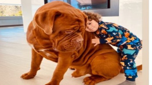 Furor por la mascota de la familia Messi