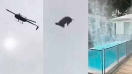 ¿Quién tiró al cerdo del helicóptero?