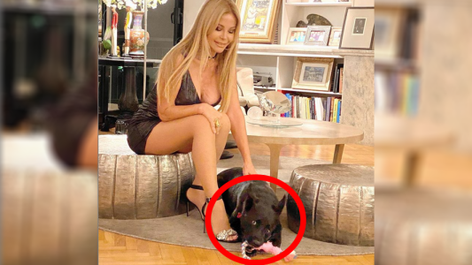 Coronavirus: Los tips de Graciela Alfano para limpiar las patas de los perros después de un paseo por la calle