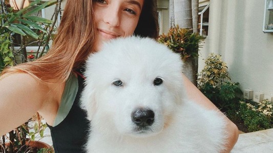 El tierno baño de los perritos de Ricardo Montaner