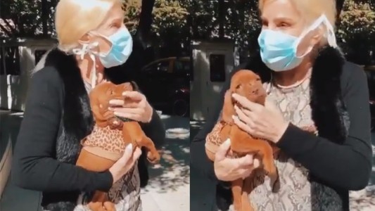 La nueva compañía de Susana Giménez en cuarentena