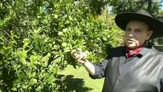 El Chaqueño Palavecino mostró su lujosa casa