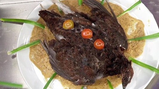 El repugnante plato de una participante que generó polémica a nivel mundial