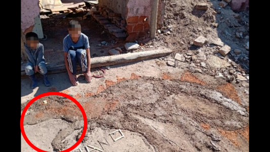 El niño que conmovió a todos por la tarea de arte que hizo con los materiales que tenía en su casa