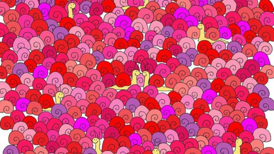 Reto viral: ¿Dónde está el corazón?