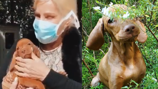 El tierno video de Susana y Rita