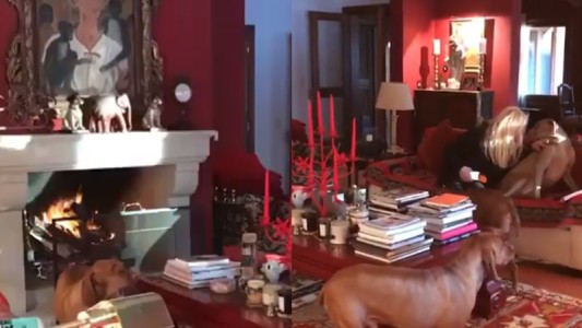 El fantástico living color fuego de Susana Giménez