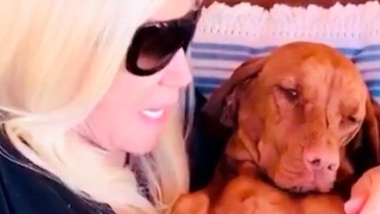 El ruego de Susana a una de sus perras