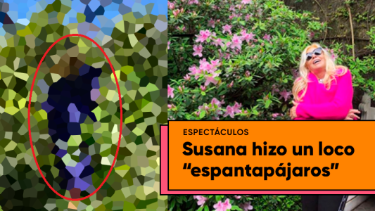 El extraño espantapájaros de Susana Giménez