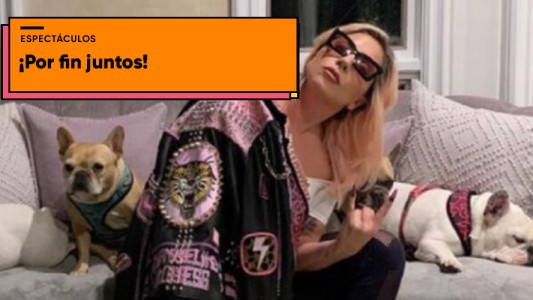 Lady Gaga recuperó a los perros que le habían robado