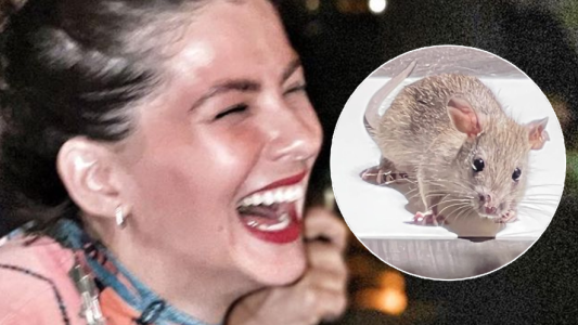 Ternura peligrosidad China Suárez feliz porque rata entró casa