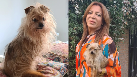 Angustia y dolor por la muerte de la perrita de Lizy Tagliani