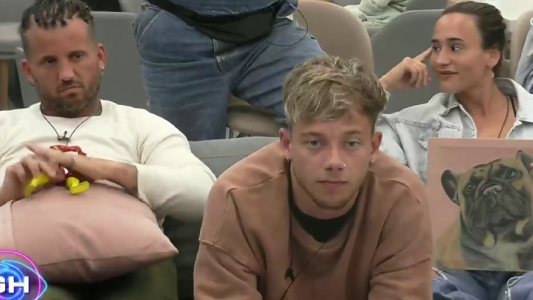 Gran Hermano sancionó Monitos complot