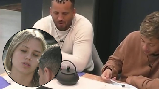 Tontos previsibles casa reaccionó sanción complot Monitos