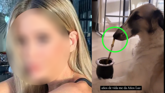 El perro de una famosa es fanático del mate