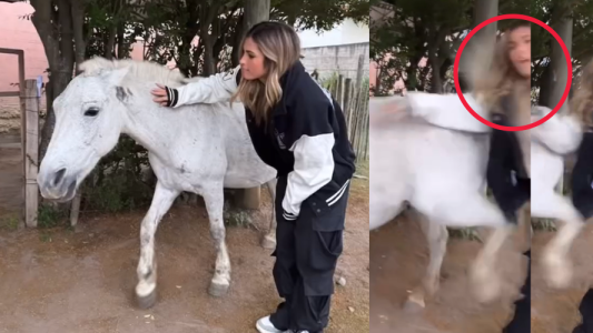 Julieta Poggio mostró un video en el cual fue pateada por un caballo