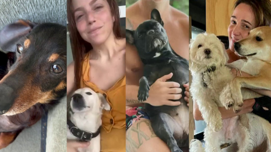 Copito, Nancy, Chango y Benito: conocé a las mascotas del equipo de Cortá por Lozano