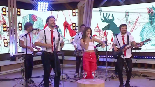 El show de Agapornis en La Peña de Morfi