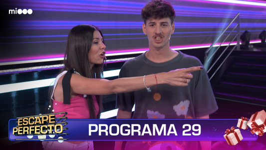 Programa 29
