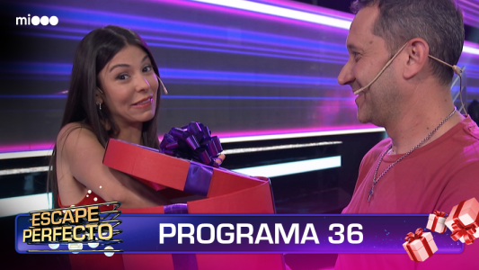 Programa 36
