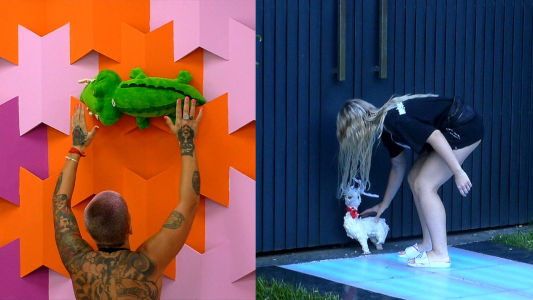 El cocodrilo de Coty vs. la cabra de Furia: “Cariño” terminó decapitada