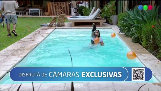 Atrápame si puedes: La Gata Noelia terminó cayendo accidentalmente a la pileta