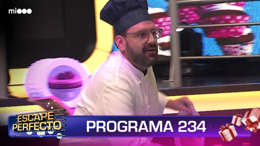 Programa 234