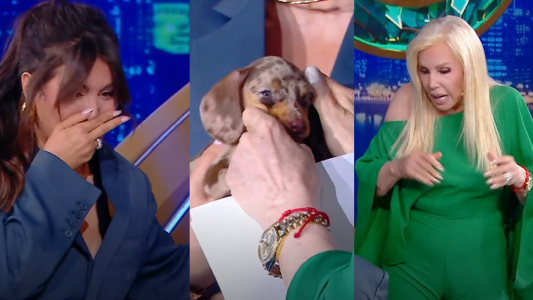 Una perlita en el living de Susana: la perrita de Wanda Nara se hizo p...