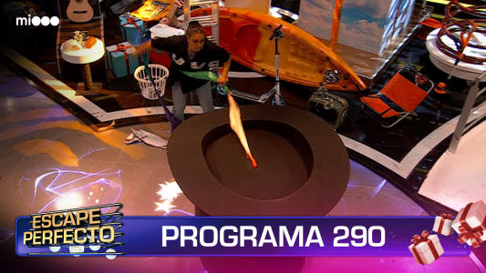 Programa 290