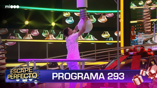 Programa 293