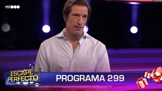 Programa 299