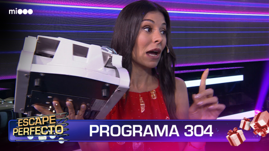 Programa 304