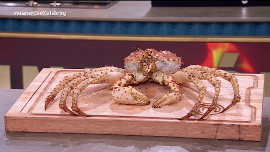 Centolla patagónica, la joya argentina que puede eliminar a los participantes de Masterchef Celebrity