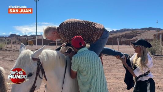 Cuidado, caballos: la torpeza de Marley llegó a San Juan
