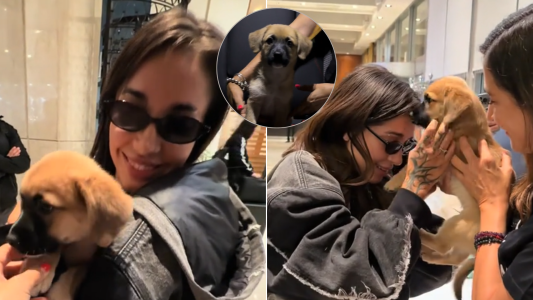 De Chile a Argentina: el tierno video de María Becerra adoptando a Piloto, su nuevo "hijo" de cuatro patas