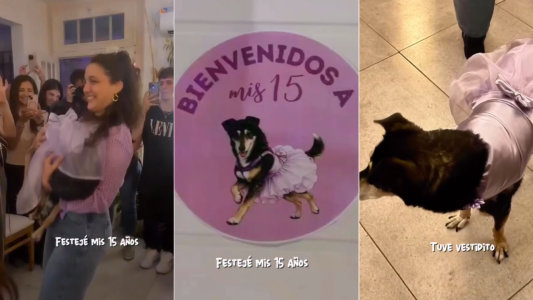 Los 15 de "La Negri": la emocionante historia de una perrita rescatada que tuvo su fiesta soñada