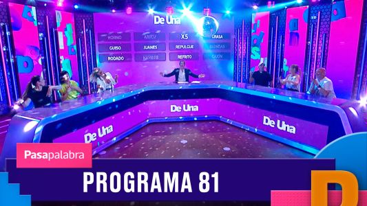 Programa 81