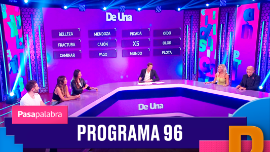 Programa 96