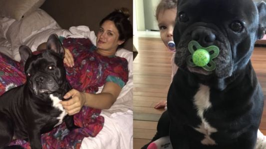 El doloroso mensaje de Paula Chaves tras la muerte de Moro: "Me ayudaste a perder el miedo"