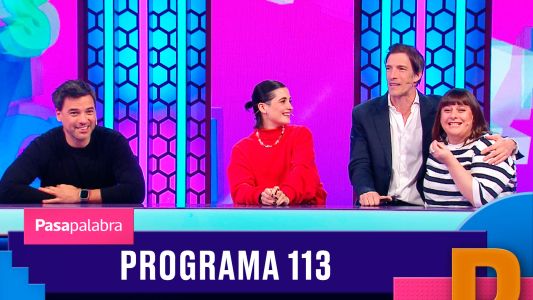 Programa 113