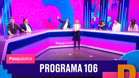 Programa 106