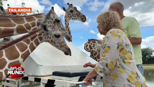 Georgina Barbarossa y Marley recorrieron un santuario de jirafas en Tailandia
