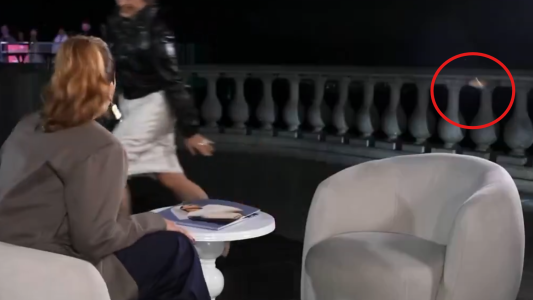 Una cucaracha interrumpió una entrevista de Rosalía: la inesperada reacción de la cantante