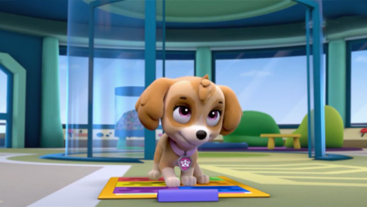 El cachorro sabe bailar