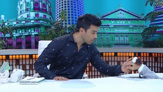 Programa 84
