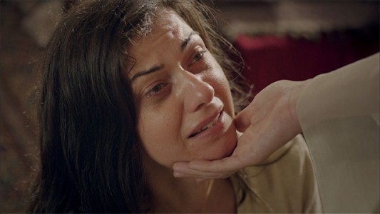 ¿Que ocurrió con el hijo de Firial?