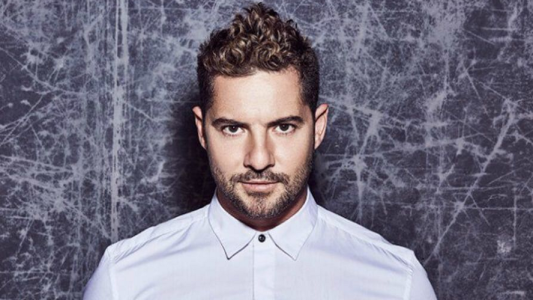 ¡David Bisbal cantará en argentina en diciembre!
