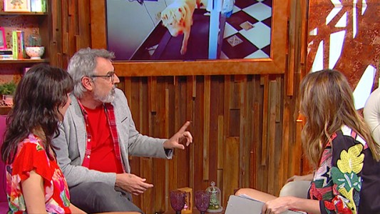 José Antonio, el perro fit de Benito Fernández