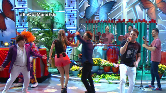 Programa 205