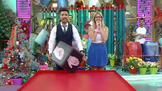 Programa 223